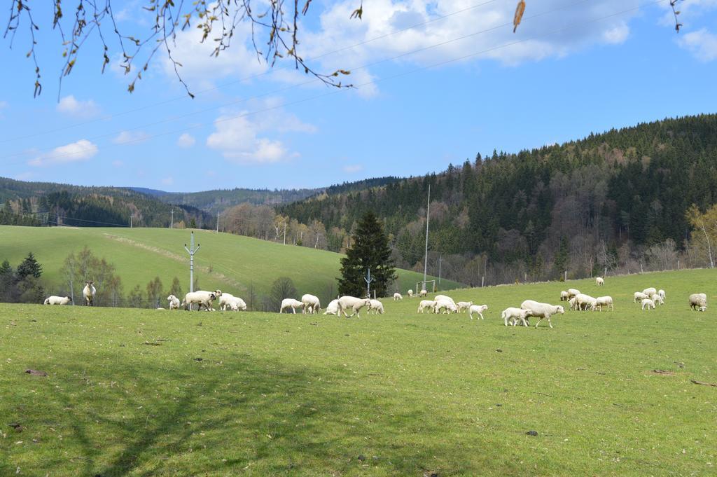 Chata Nová Seninka Staré Mesto Exterior foto