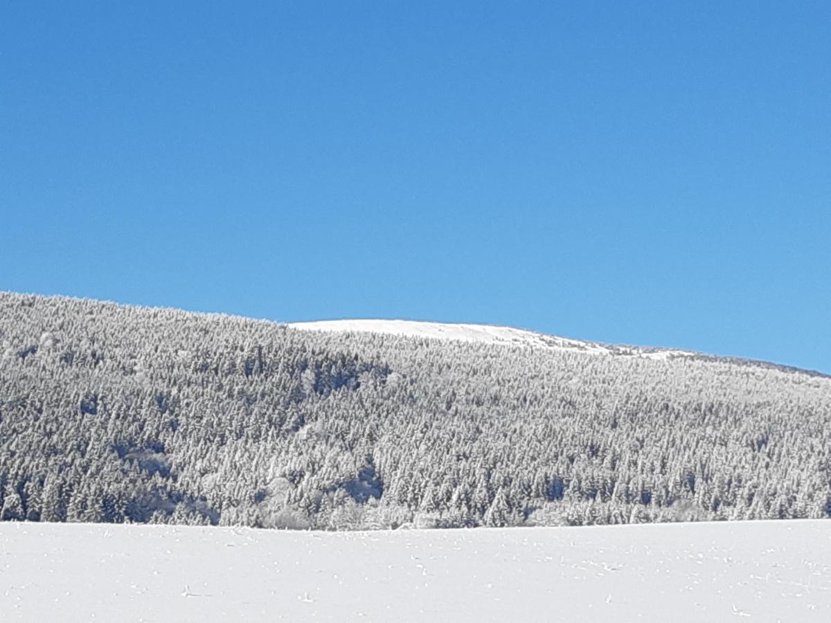 Chata Nová Seninka Staré Mesto Exterior foto